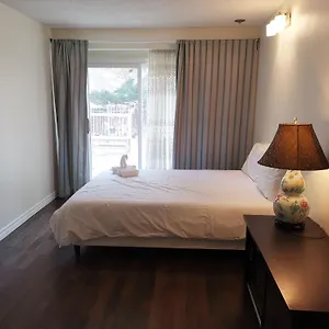 https://newly-renovated-queen-bed-private-room-full-kitchen.hotelstorontoontario.org